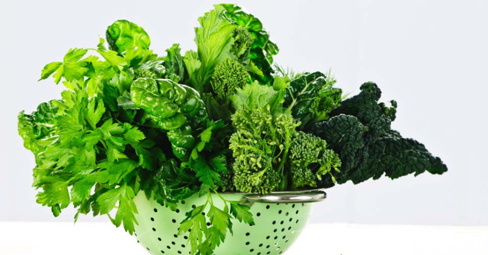 Folhas verdes escuras: Conheça os benefícios nutricionais desses vegetais!
